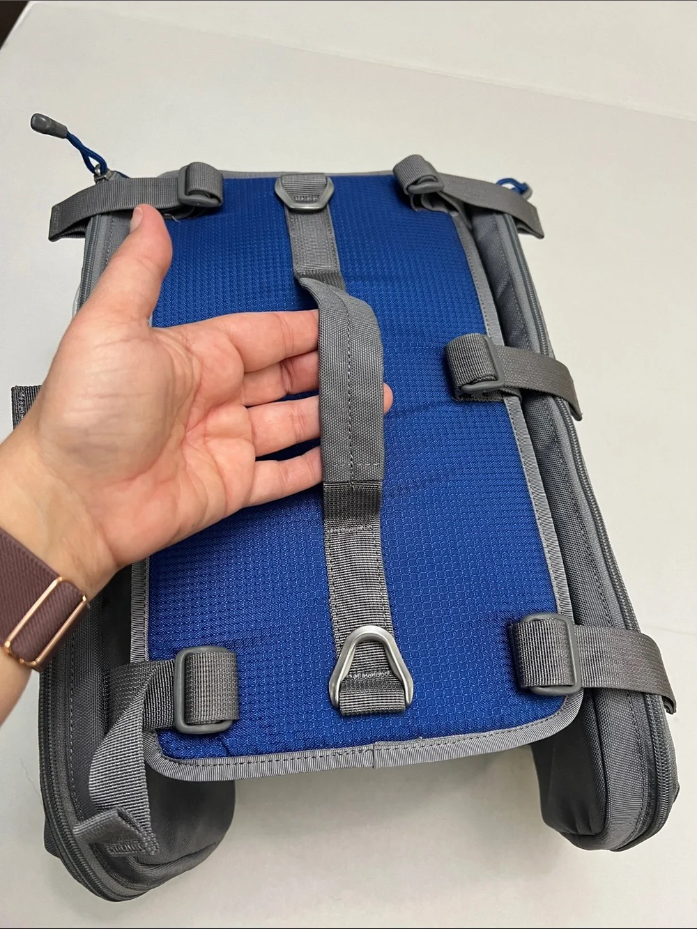 OLLY DOG doggie hiking travel backpack nylon saddle bag expandable pockets